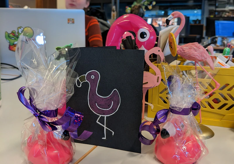 photo team flamingo